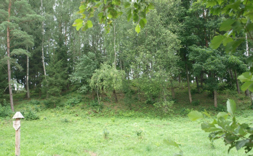 40. Nikronių  senkapiai.jpg